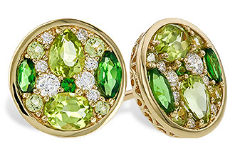 D284-03845: EARR 1.03 TW SEMI-PRECIOUS (TSAV, PER) 1.19 TGW