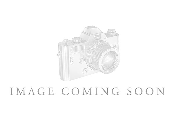 G194-07526: LDS WED RG .16 TW BLACK DIAS